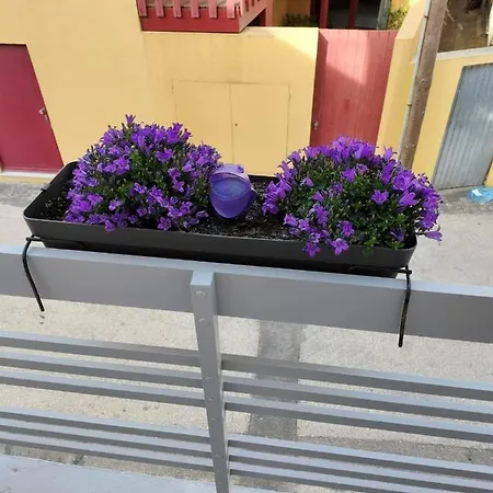 Casa de Férias The Violet House