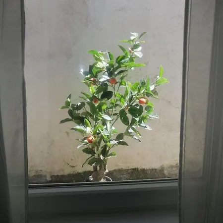 펜션 The Violet House *