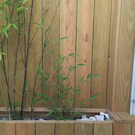 The Violet House 코스타노바