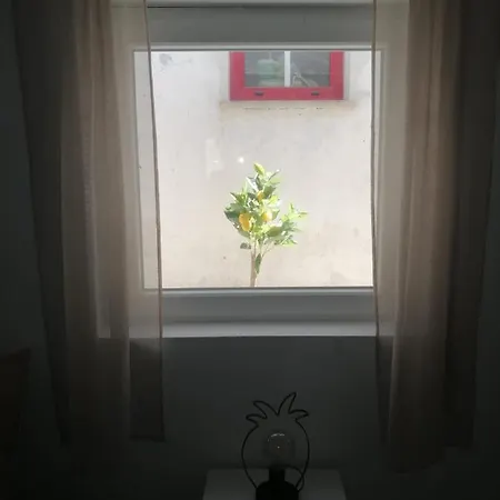 펜션 The Violet House 코스타노바