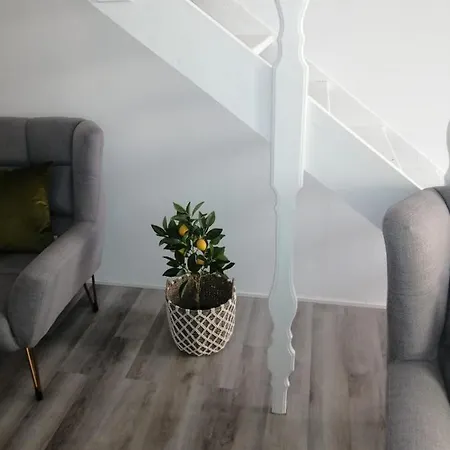 The Violet House 펜션 *