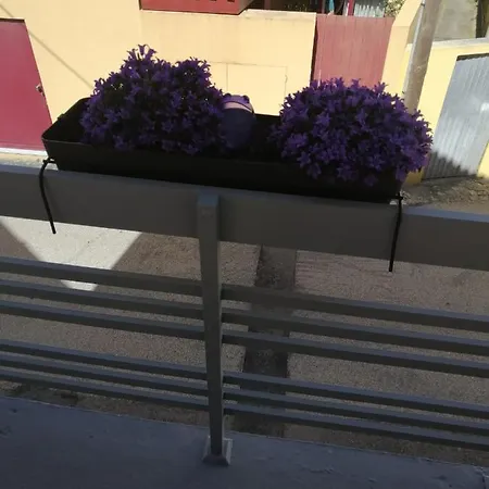 Nyaraló The Violet House