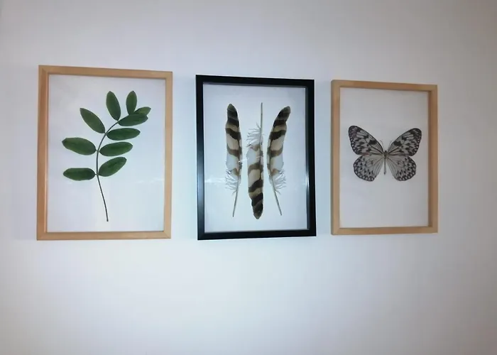 Dom wakacyjny The Violet House