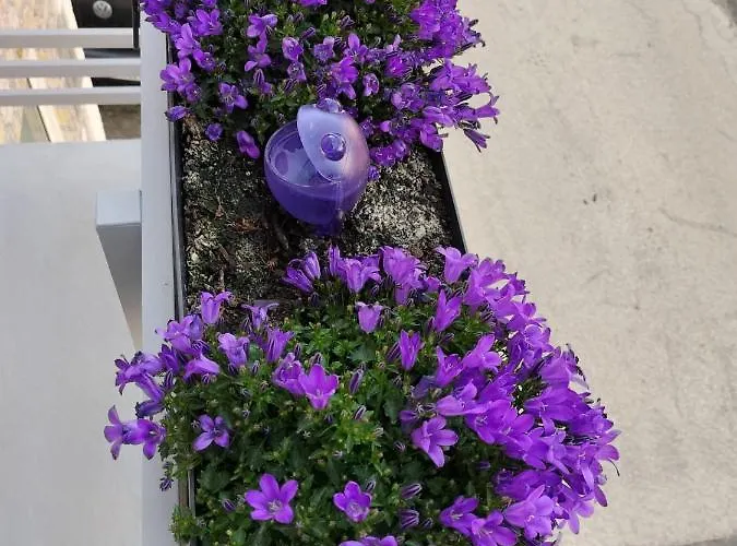 Сasa de vacaciones The Violet House Costa Nova