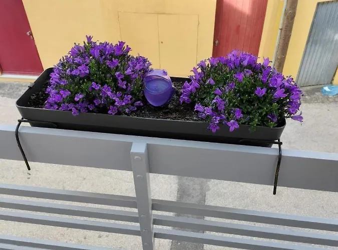 Dom wakacyjny The Violet House