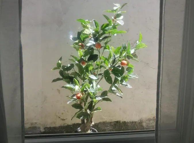 Сasa de vacaciones The Violet House *