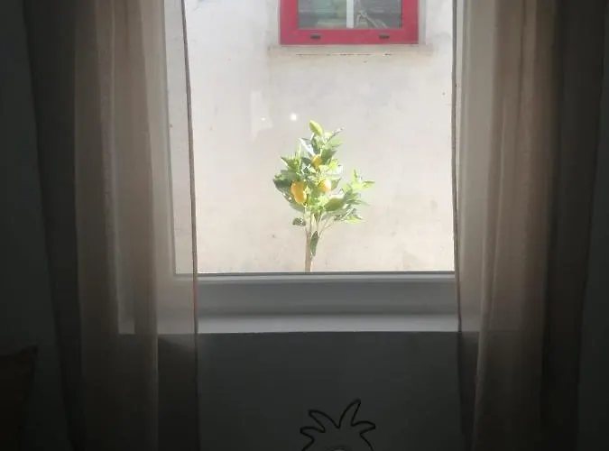 Dom wakacyjny The Violet House Costa Nova