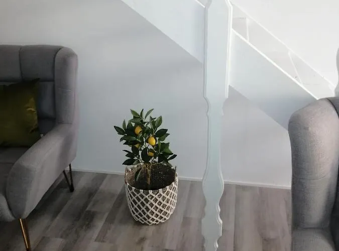 The Violet House Dom wakacyjny *