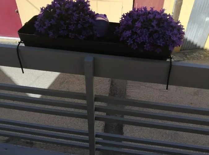 Dom wakacyjny The Violet House